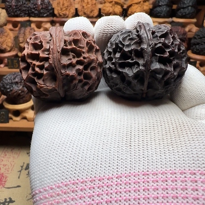 凤凰牡丹43+尺云铁精品