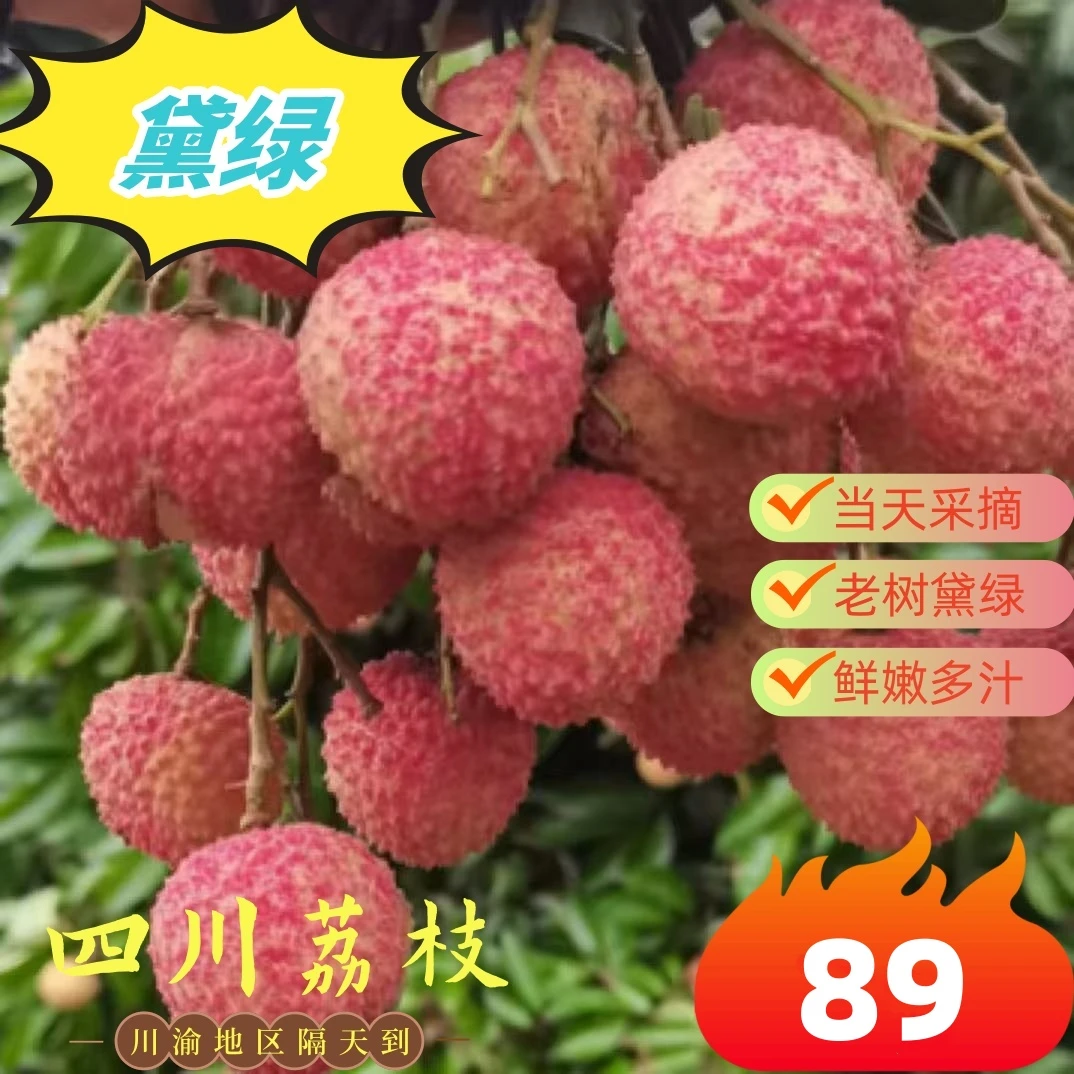 四川荔枝新鲜现摘合江黛绿荔枝当季多汁水果包邮合江荔枝