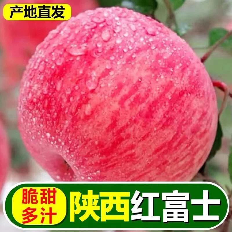 2025年新红富士苹果新鲜采摘脆甜多汁陕西早熟苹果整箱包邮