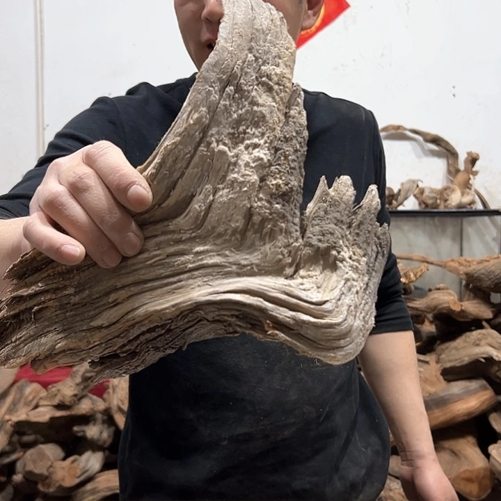 柏木悠****5我们的生活也是如此