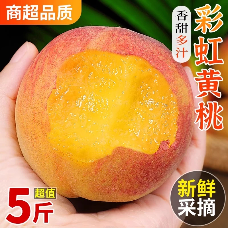 【顺丰包邮】彩虹黄桃新鲜桃子5斤大果黄金蜜当季现摘脆甜黄肉毛桃