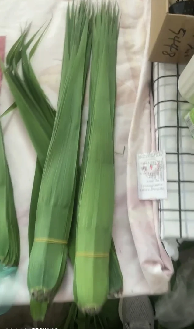 天然野生芦苇粽叶