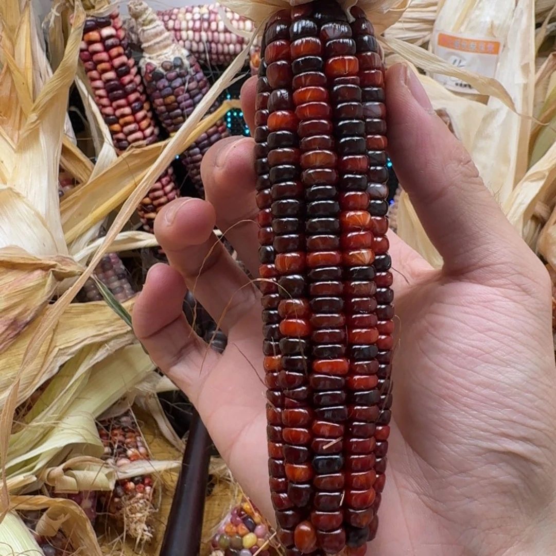 开***@柏香籽/百香籽吊坠