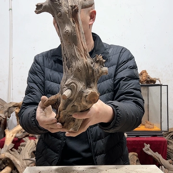 柏木木****店我们都是好孩子啊哈哈哈