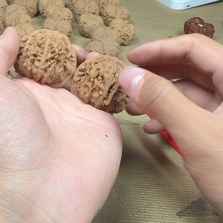 夏***愿龙脊菩提吊坠啊啊啊啊四座楼8