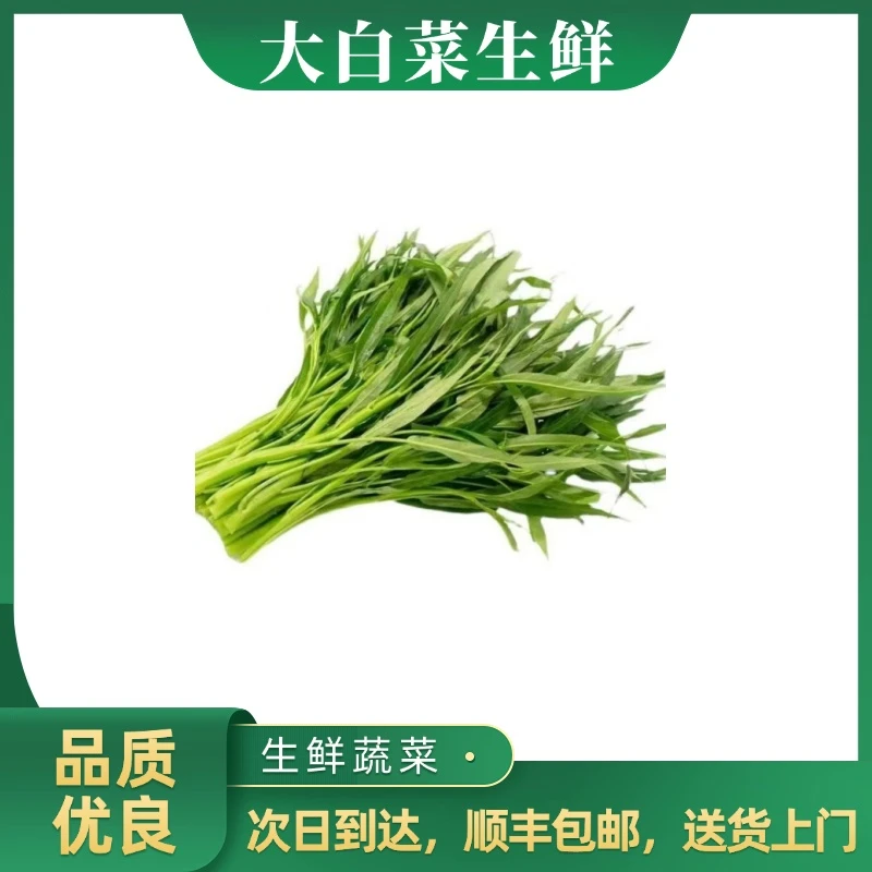 空心菜 300g±20g