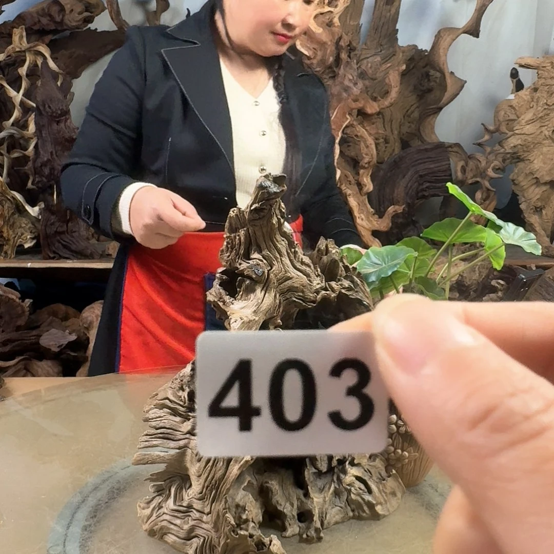 风车木（黑檀木）錦*