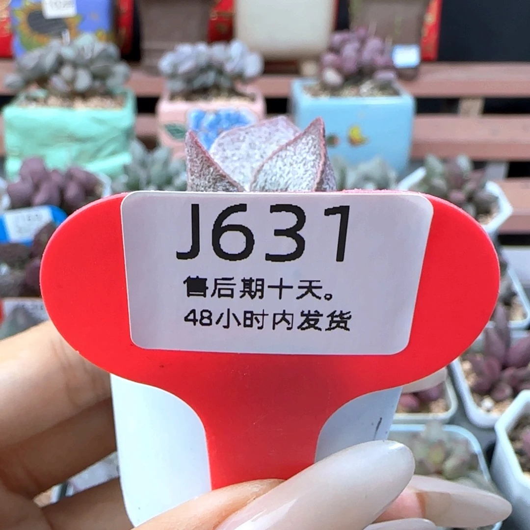 一***)补差价。     631。