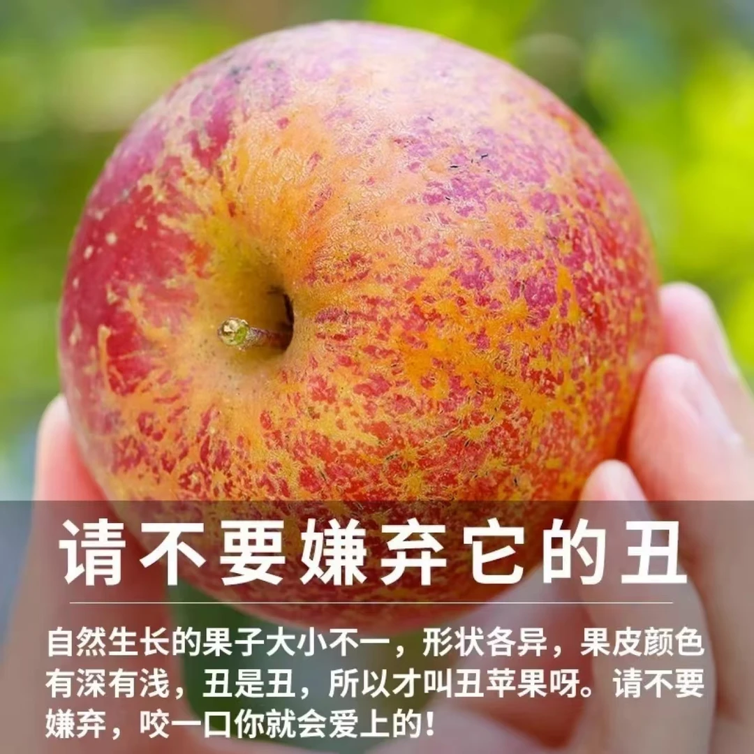 大凉山盐源丑苹果红将军苹果4.5斤脆甜丑苹果大的部分有糖心