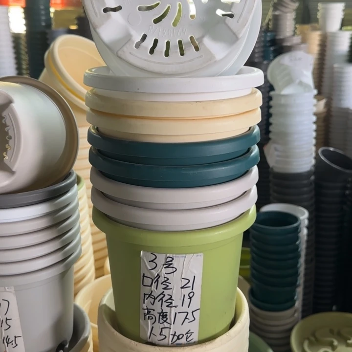 微瑕3#口径21无托果绿10个