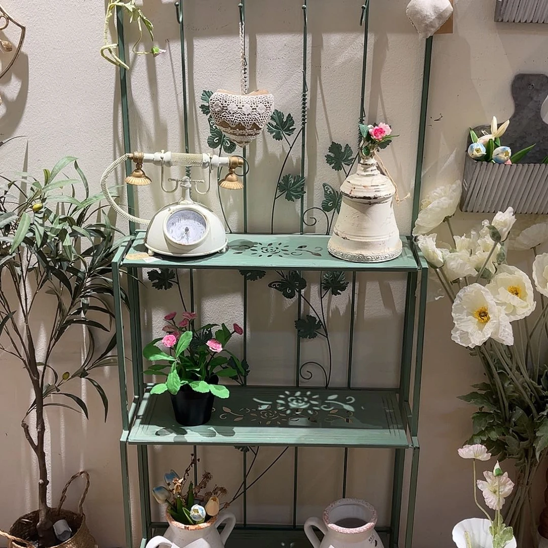 安提克斯拍了说已拍