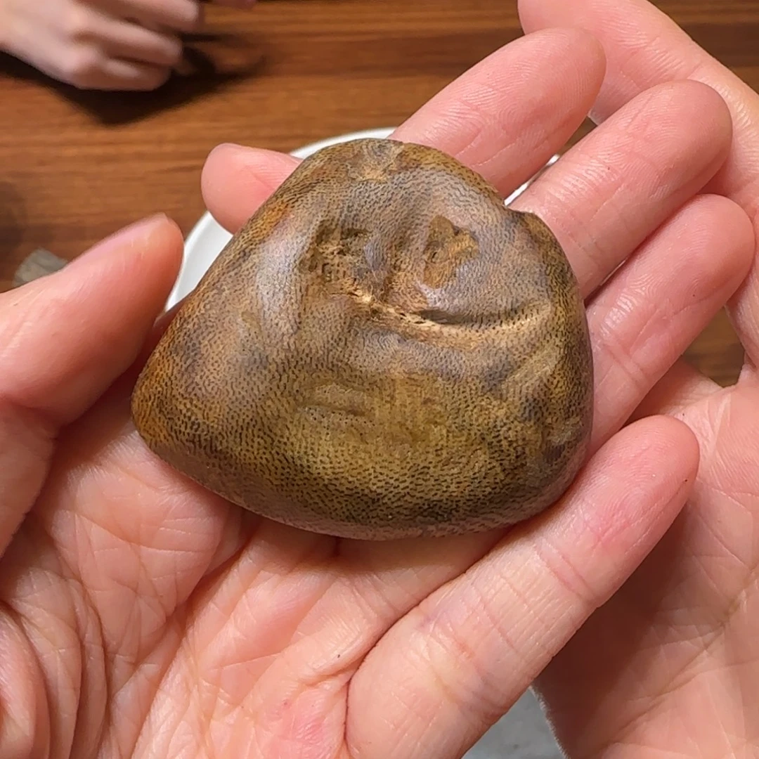 沉香沉香碎屑奇楠小包头6克