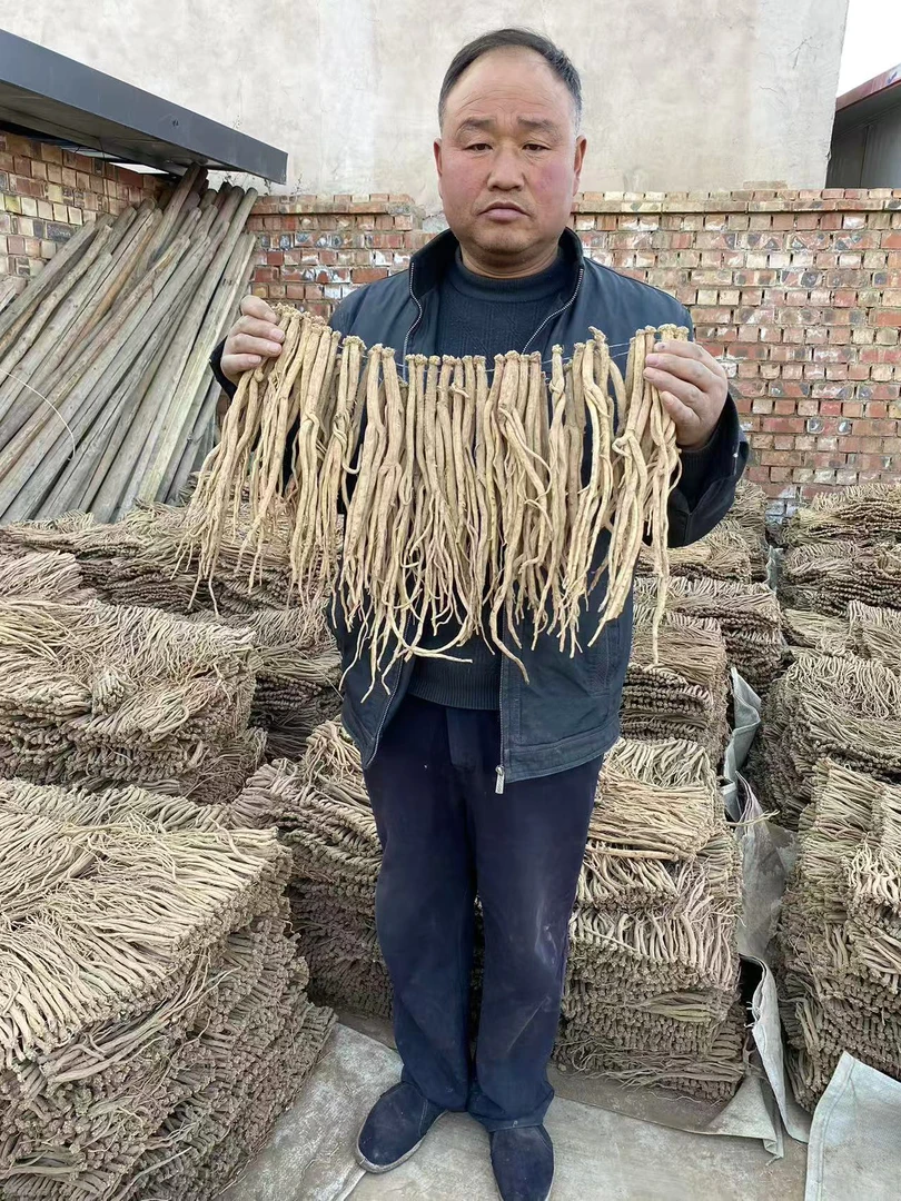 甘肃自家种植白条党参无硫干货煲汤泡水泡酒皆可