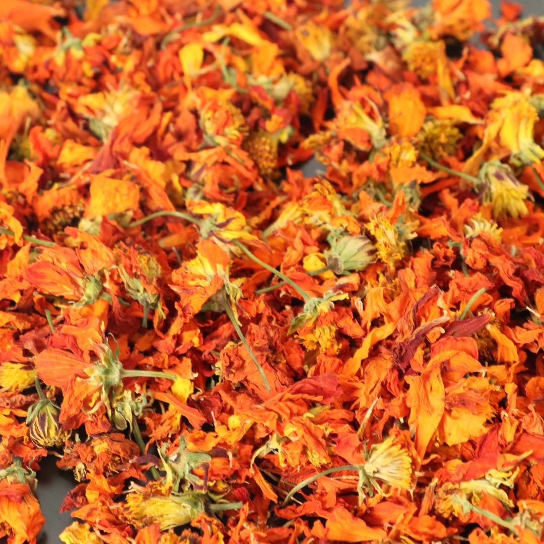 正宗冰菊泡水喝饮品Z-M12