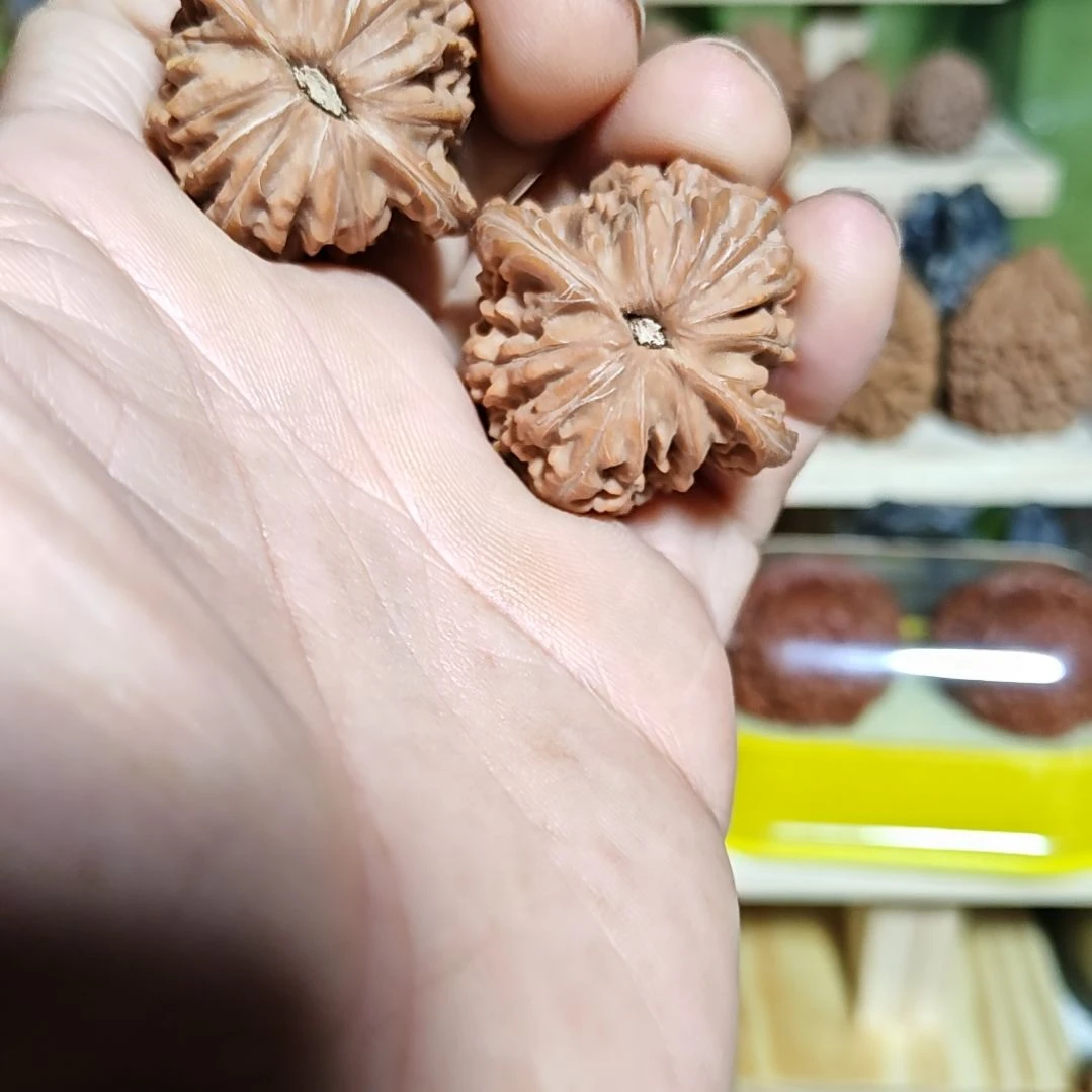 38尺练手对山地磨盘，有黄