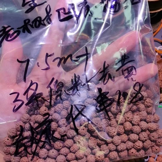 星***二吊坠金刚菩提108已清理