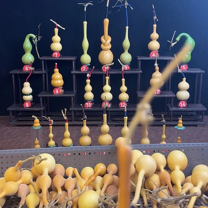 c***.葫芦山风景旅游开发项目