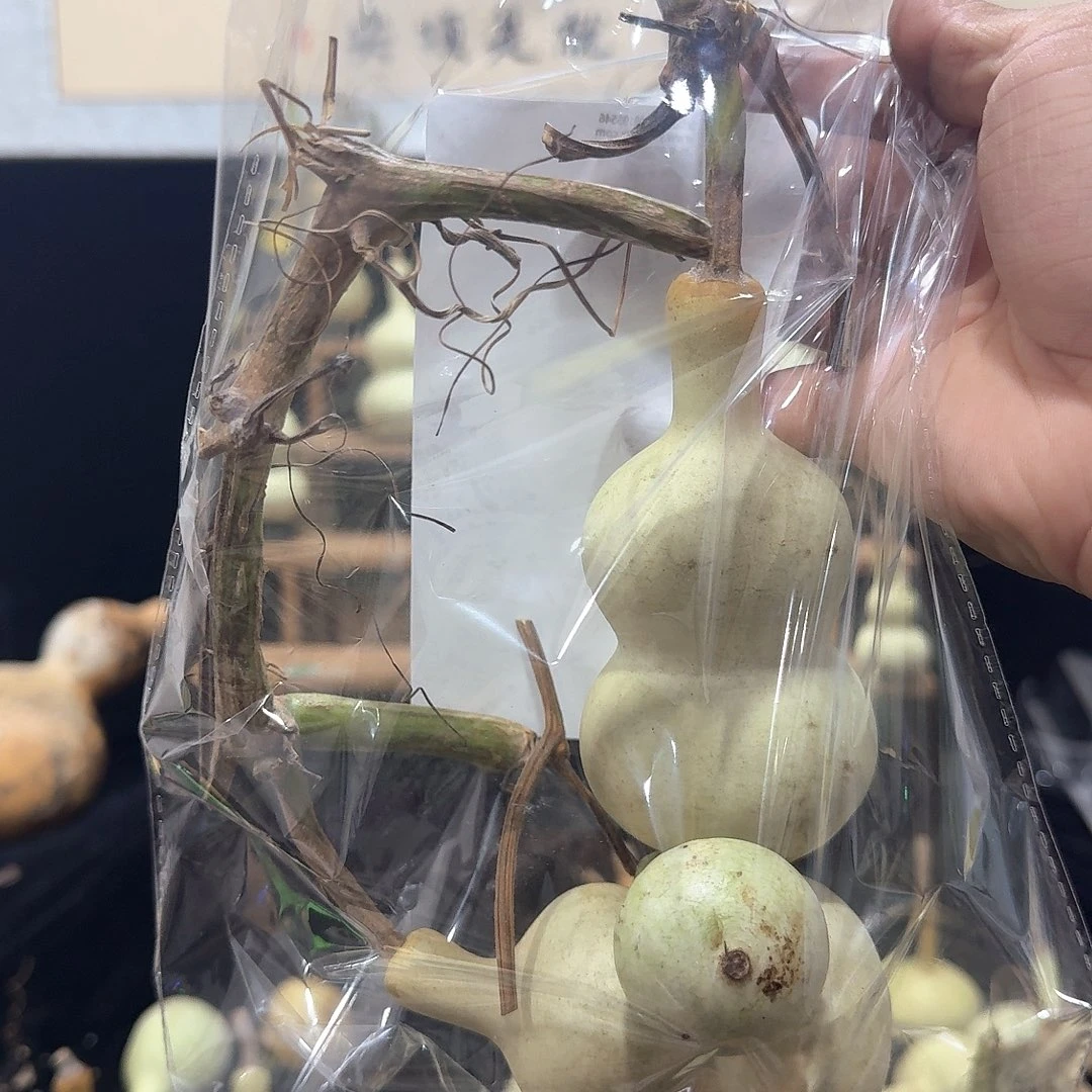 H***a福利定向定向定向