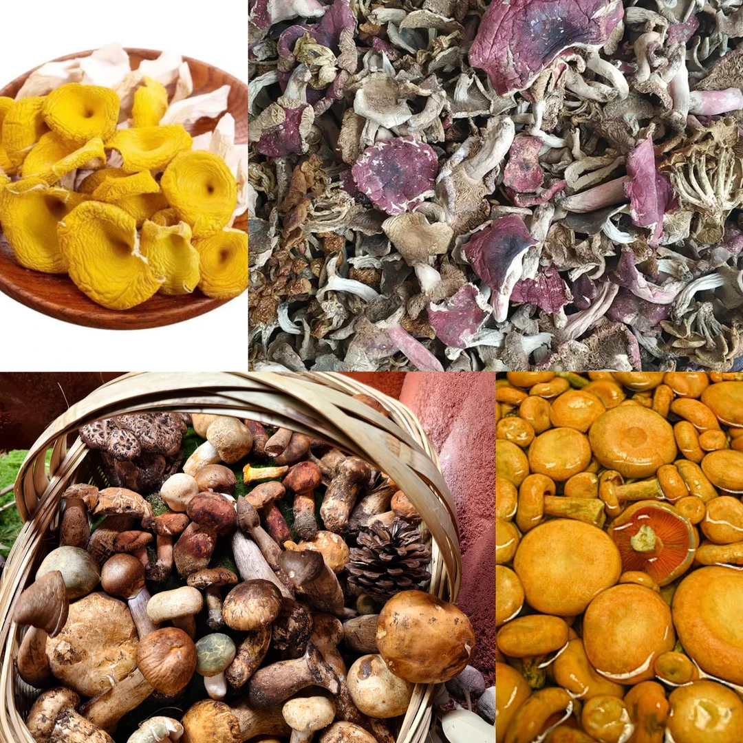 【土特产菌/阿龙专属219】重量45g