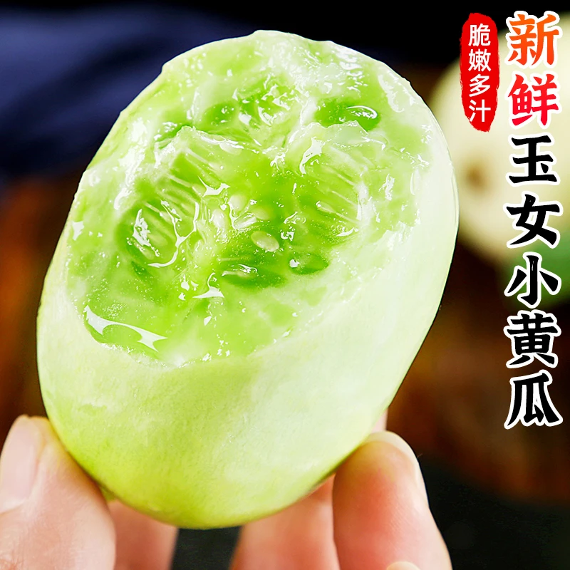【清甜脆爽】新鲜玉女小黄瓜1-5斤水果黄瓜白玉黄瓜拇指黄瓜蔬菜