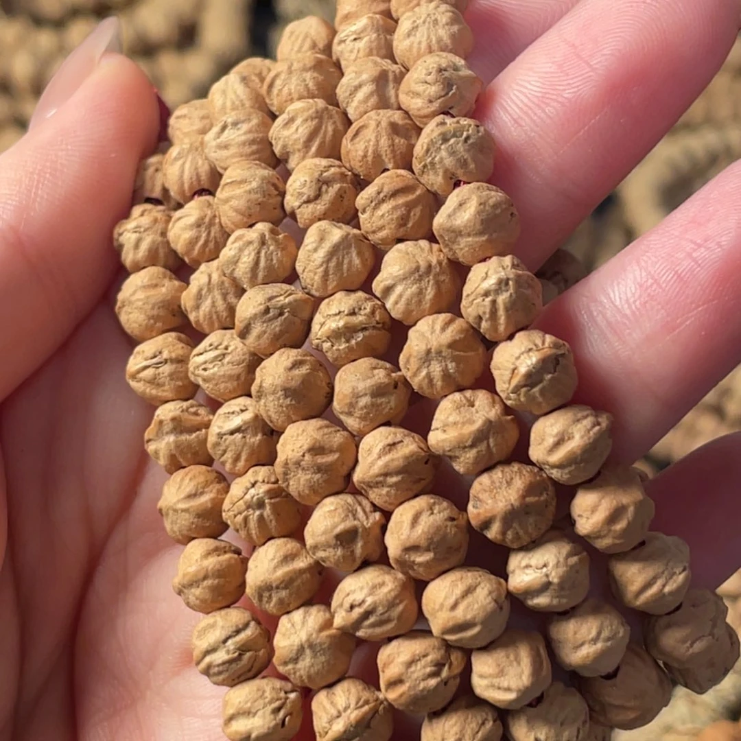 吊坠柏香籽/百香籽7-8原桩橫打白牙