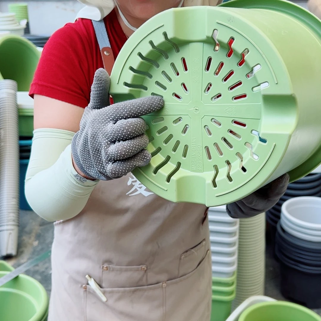 四季盆5#果绿色6个无托