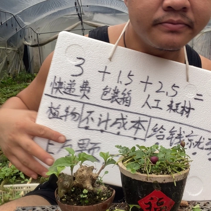 退款拉黑一物一拍350