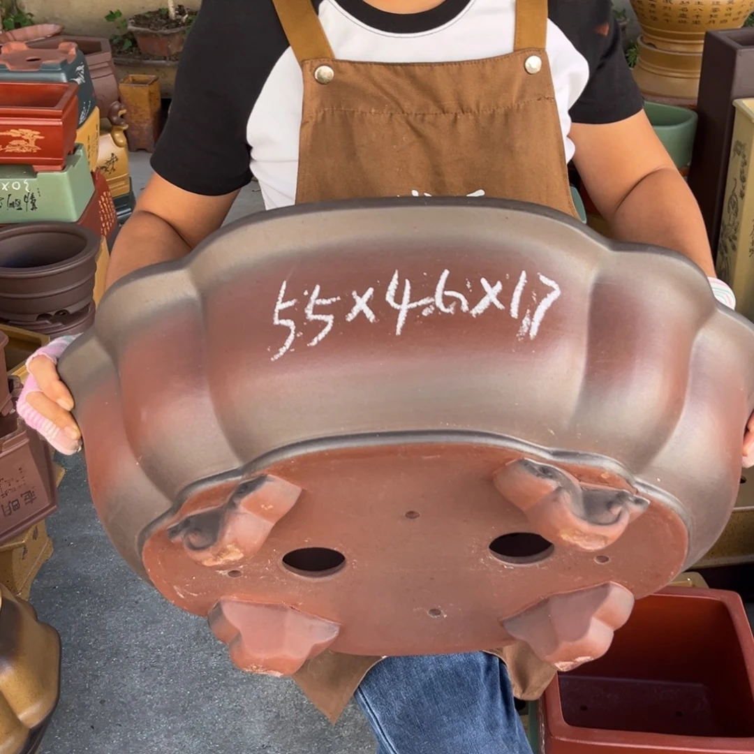 紫砂花盆盆景艺术