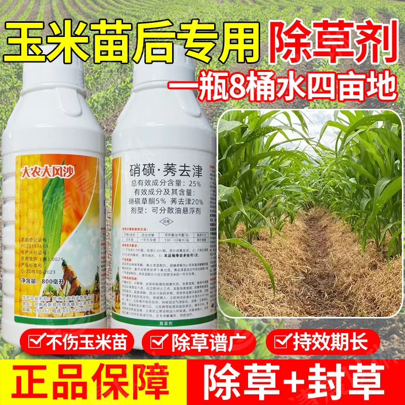 大农大风沙玉米除草剂硝磺莠去津硝磺草酮甜玉米糯玉米除草老牌子