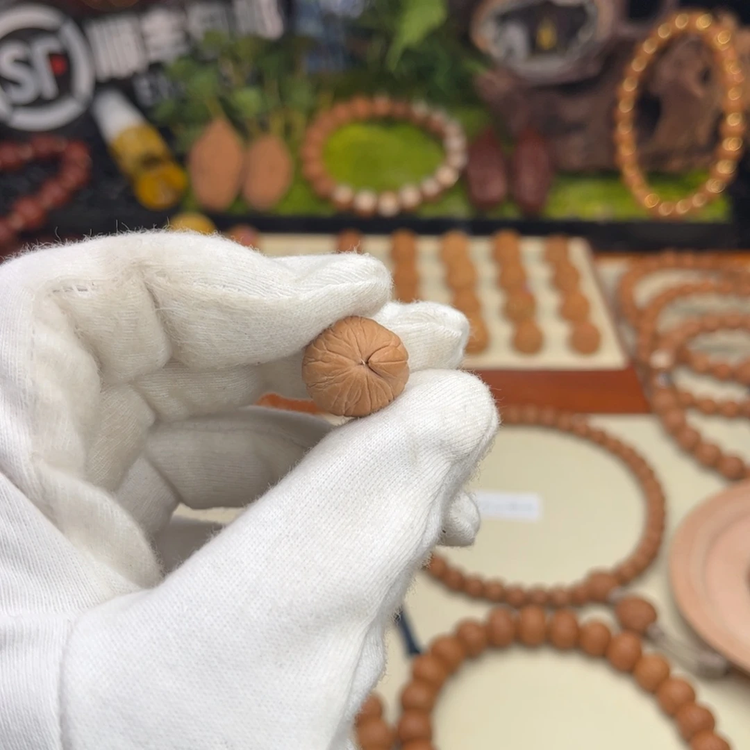 王***.核桃猴头聚宝盆毕业