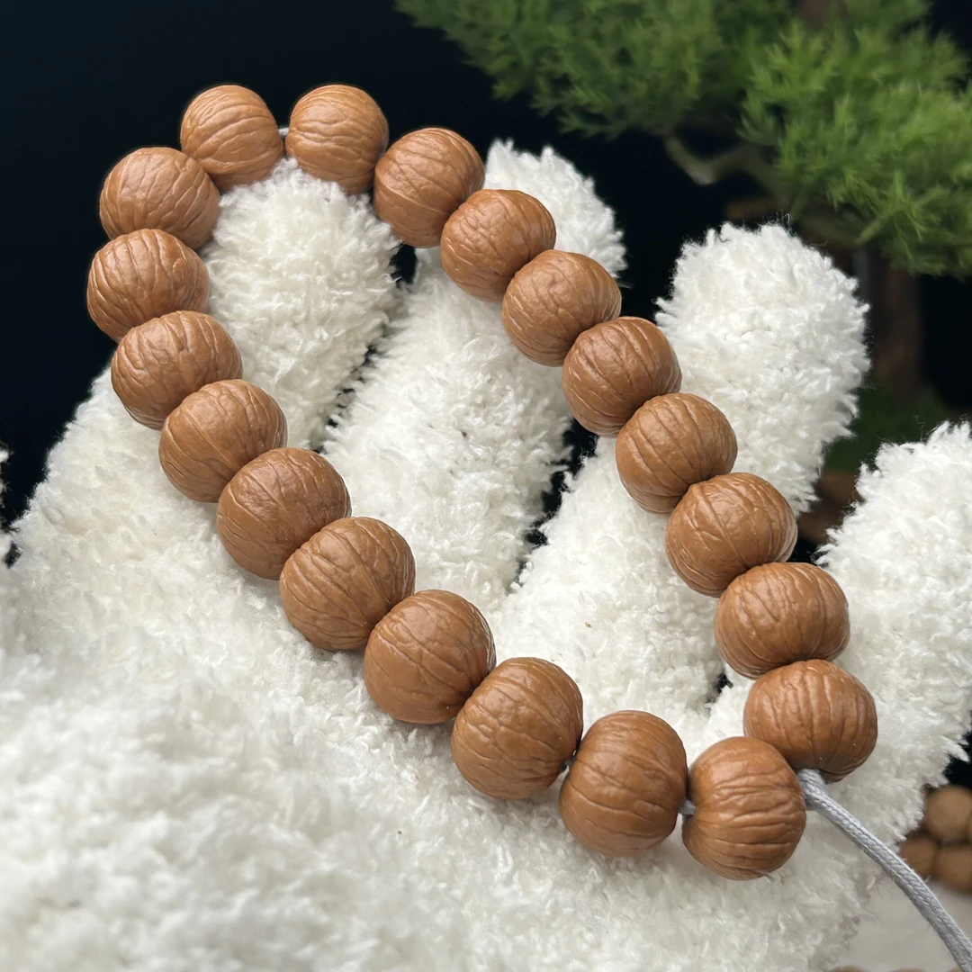 双鳍南瓜 全品原皮无修不泡药原生态四大名核之一