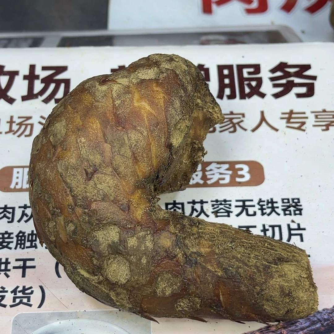 中国大陆15厘米460克