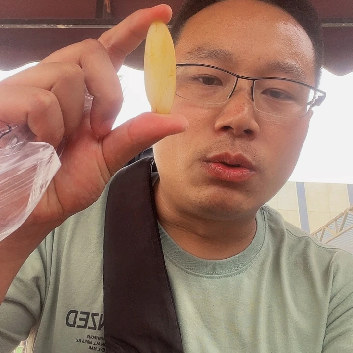 和田玉未镶嵌颈饰果*