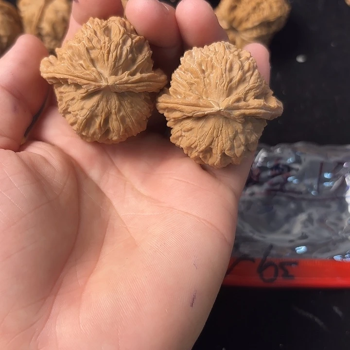 大叶紫檀（黑酸枝木类）