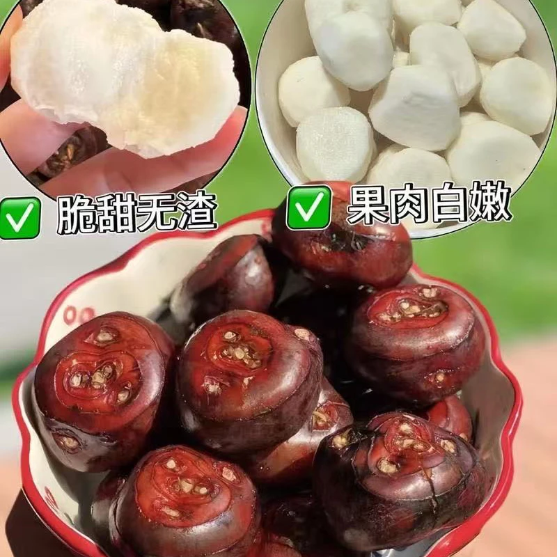 精装礼盒 广西荔浦马蹄荸荠新鲜当季水果 脆甜多汁化渣 农家蔬菜3.5斤毛重