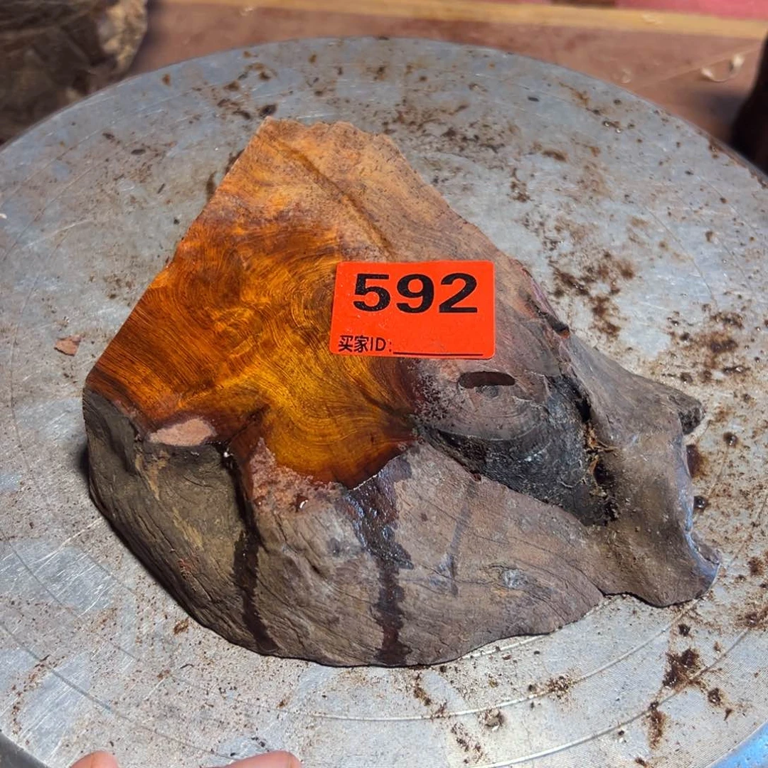 大果紫檀（缅甸花梨）