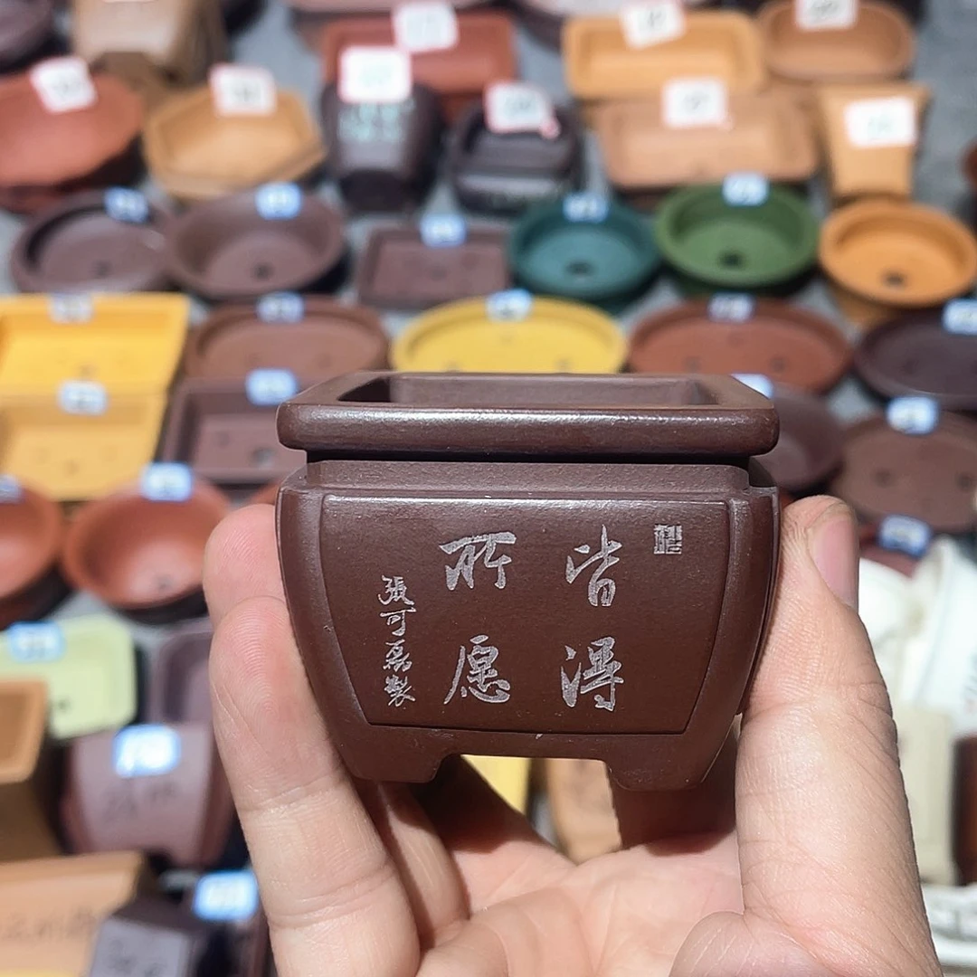 紫砂小盆5*4cmmmm