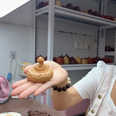 段泥茶宠蛇茶宠茶宠茶宠