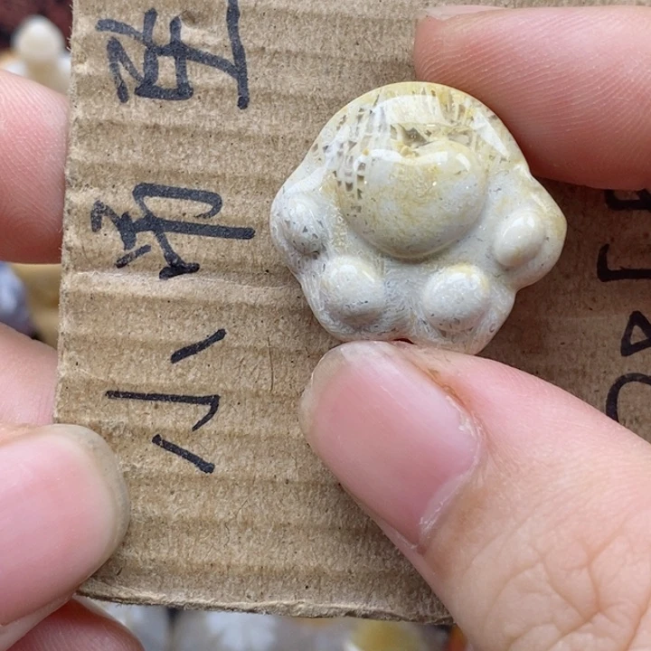 颈饰未镶嵌硅化珊瑚（珊瑚玉）独**?