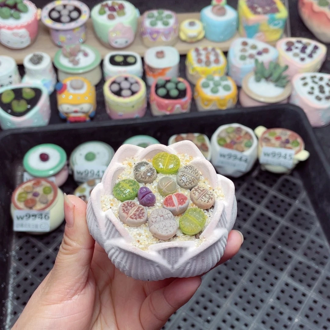 w9948 -零下地区拍保温箱-15支持寄养