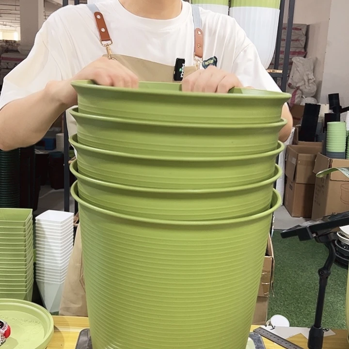 高陶20口30高30果绿无托5只