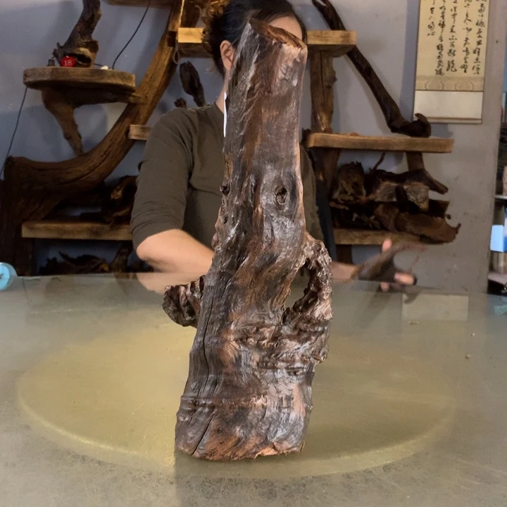 毛***毛天然的云南紫柚木会黄水