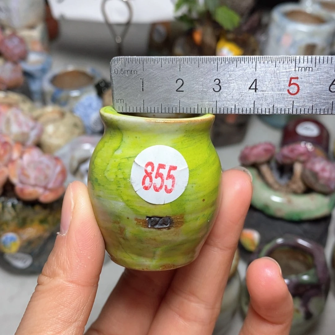 玉*℡花盆拍5送一个小礼物