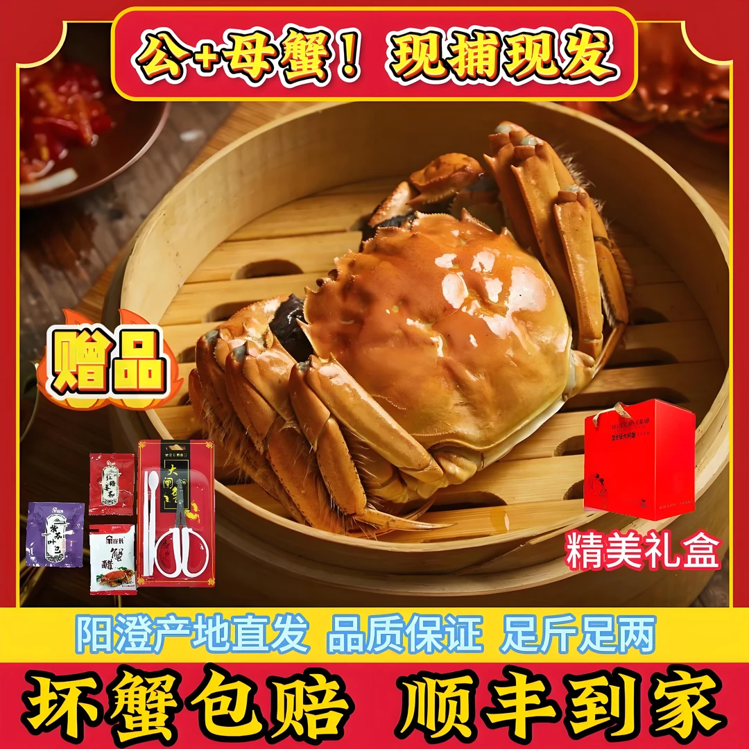 【活蟹现发】江苏大闸蟹公蟹4.0-3.7两+母蟹3.0-2.7两 5对礼盒装 顺丰航空冷链包邮