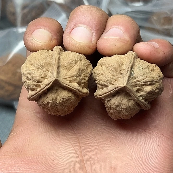 核桃64号龙脊正三36尺