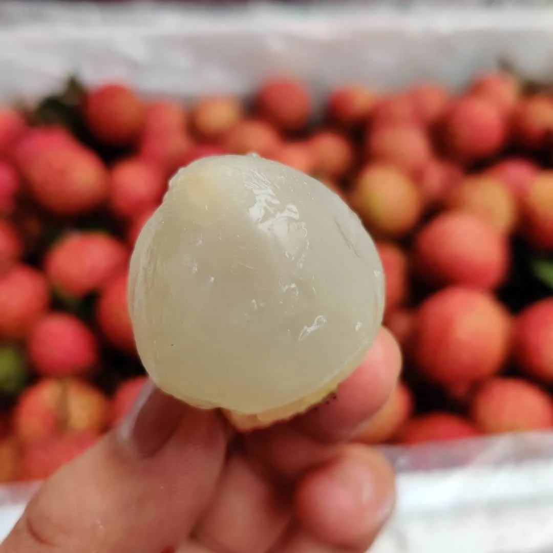 桂味荔枝（满满桂花香）仅限长春同城外五县下单