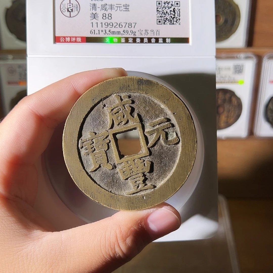 豆***芄金雨雨雨雨雨雨雨雨雨