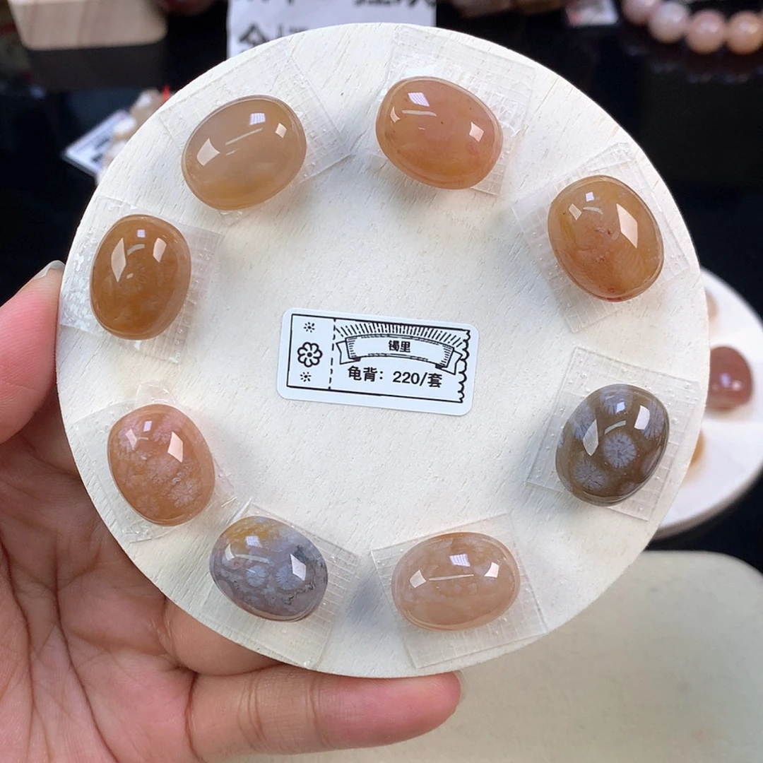 【闪购商品】颈饰未镶嵌硅化珊瑚（珊瑚玉）16号上新龟背一套