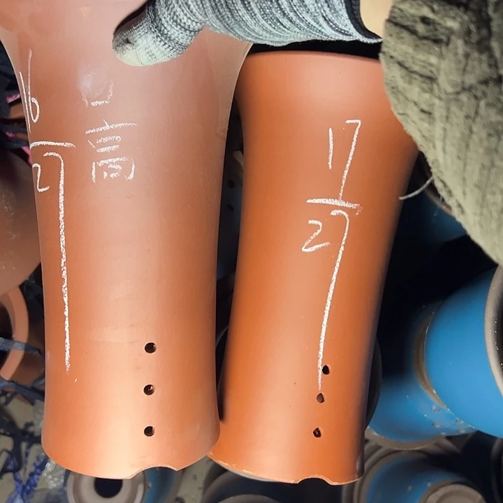 笑死再说再说啧啧啧啧