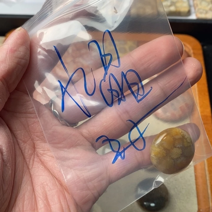 硅化玉颈饰未镶嵌水*